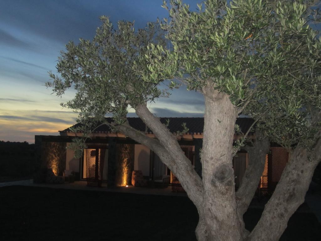 Monte Do Cardal Villa ออดไซเชอ ภายนอก รูปภาพ